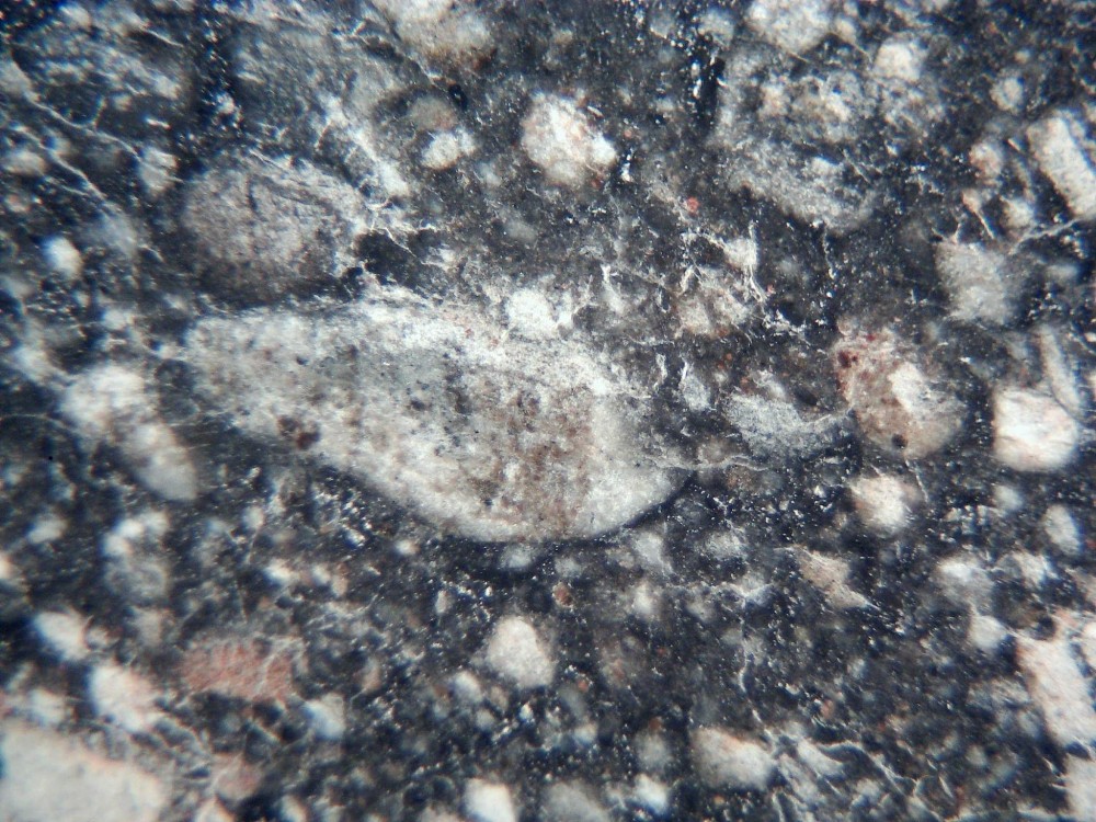 20250829_image (9).jpg