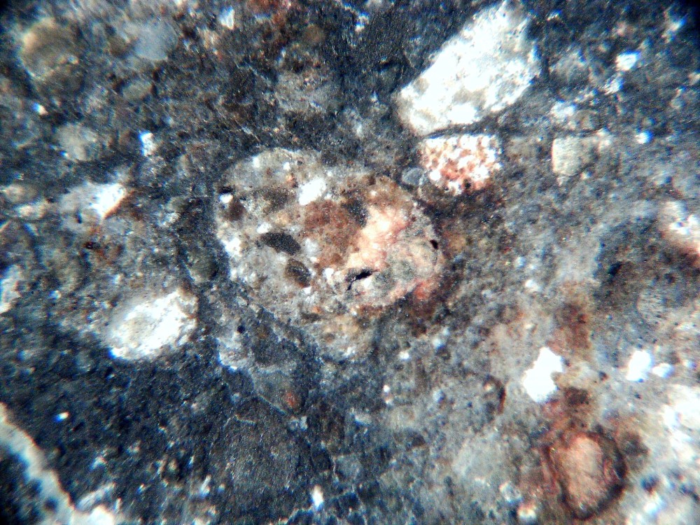 20260119_image (19).jpg