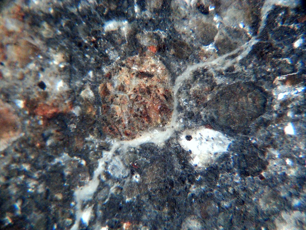 20260119_image (26).jpg