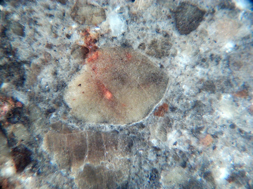 20260119_image (4).jpg