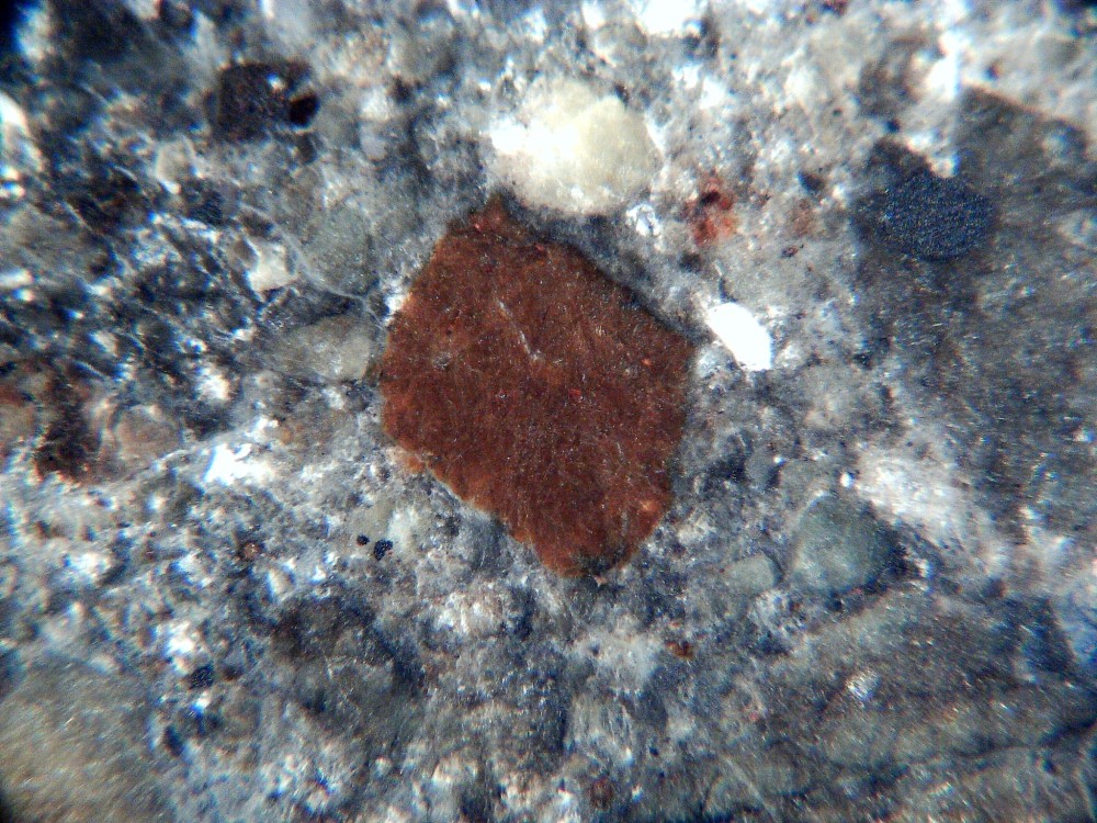 20260119_image (6).jpg