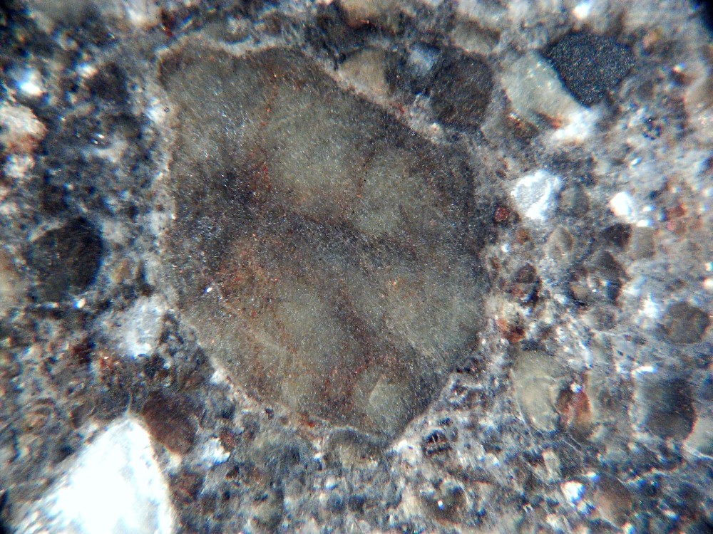 20260119_image (8).jpg