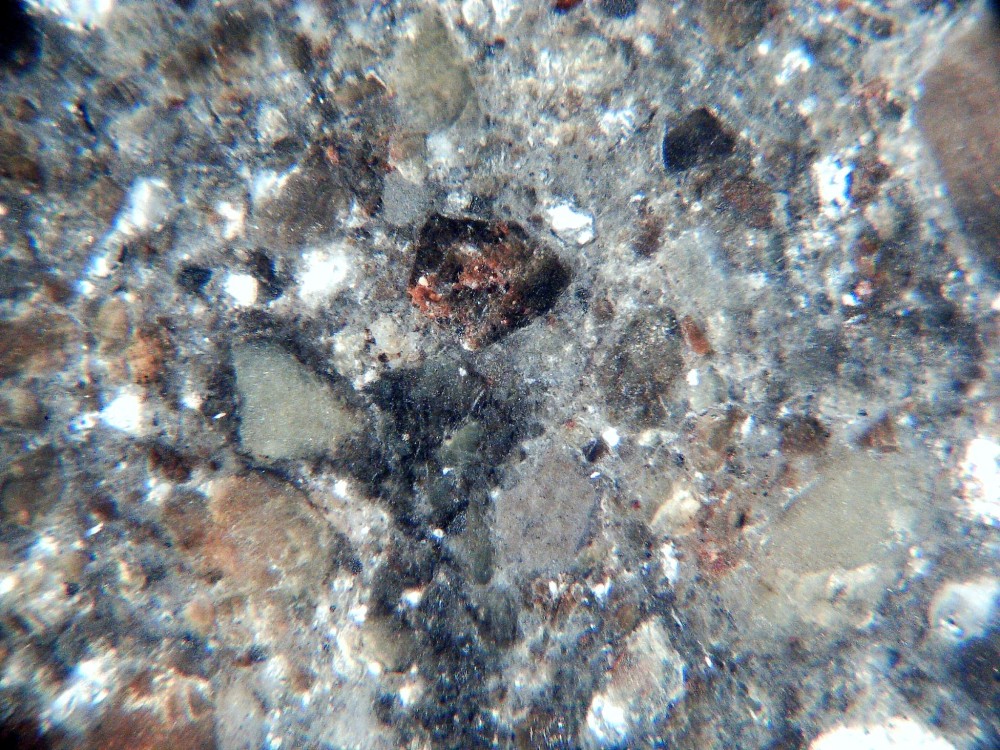 20260119_image (9).jpg