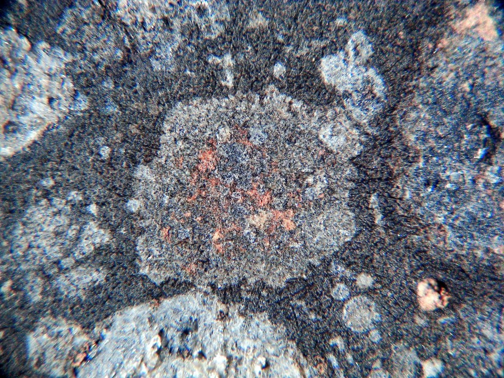 20260208_image (10).jpg