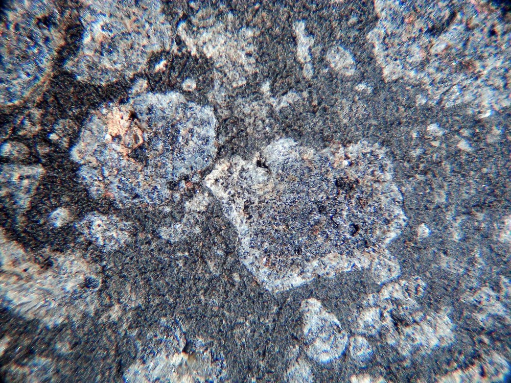 20260208_image (11).jpg