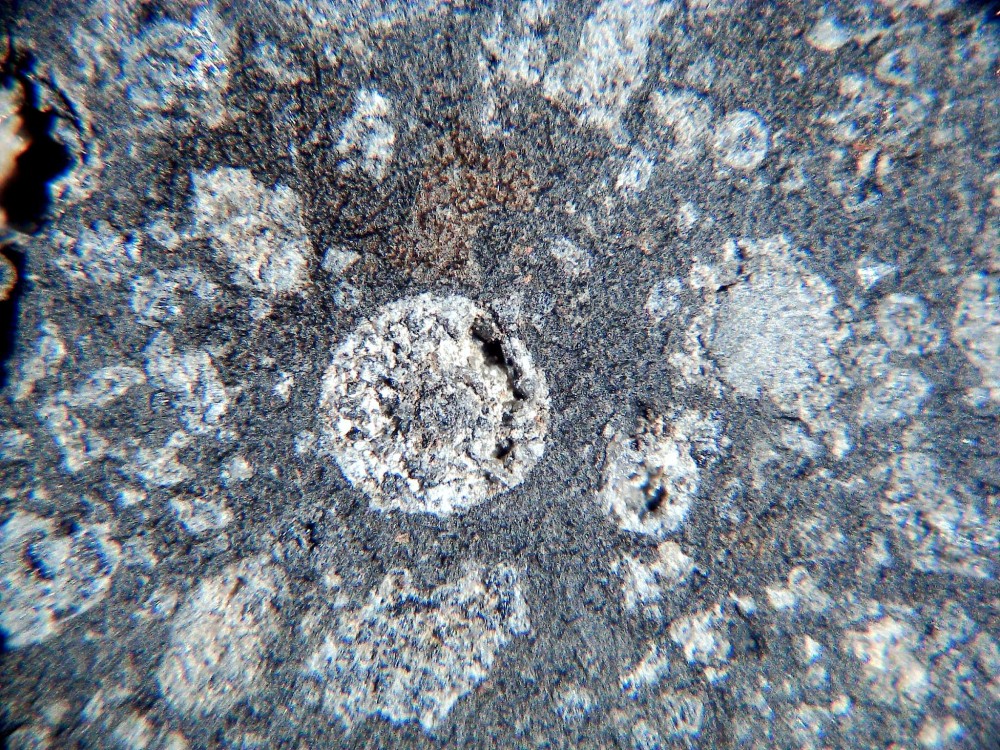 20260208_image (12).jpg