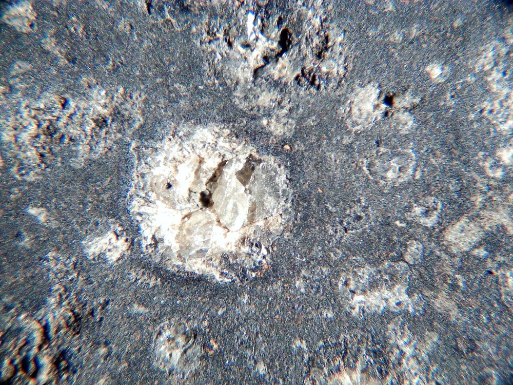 20260208_image (13).jpg