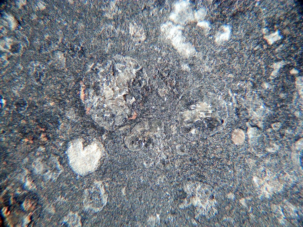 20260208_image (14).jpg