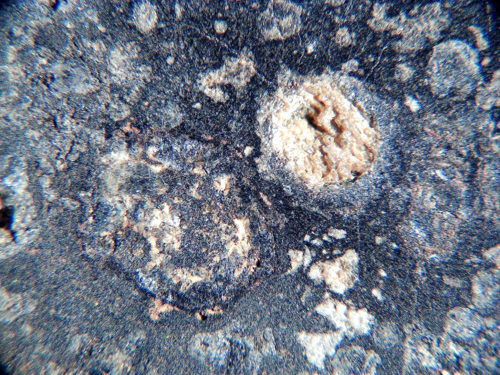 20260208_image (15).jpg