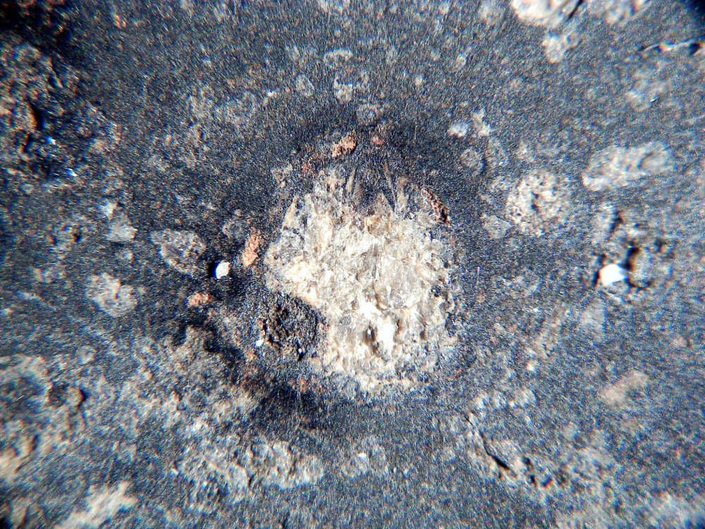 20260208_image (16).jpg