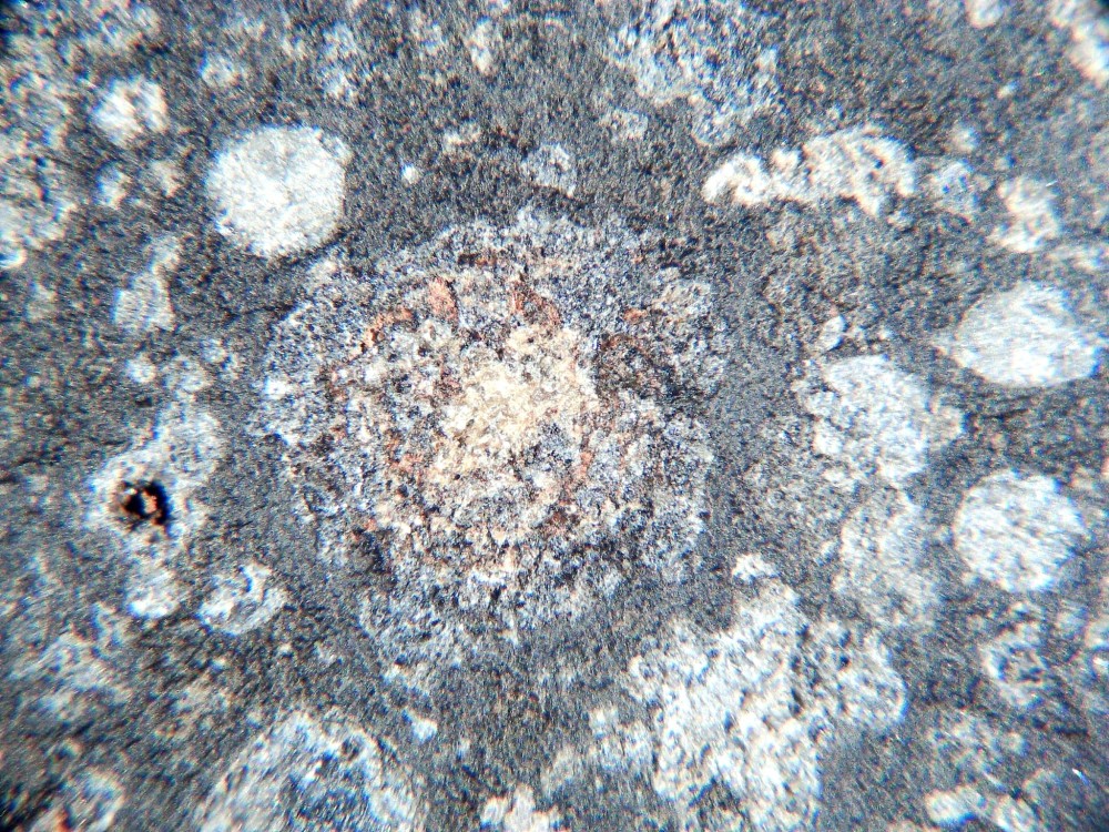 20260208_image (3).jpg