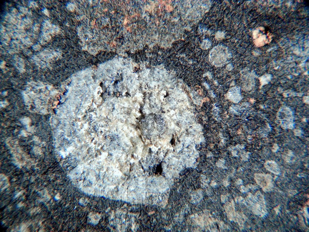 20260208_image (4).jpg