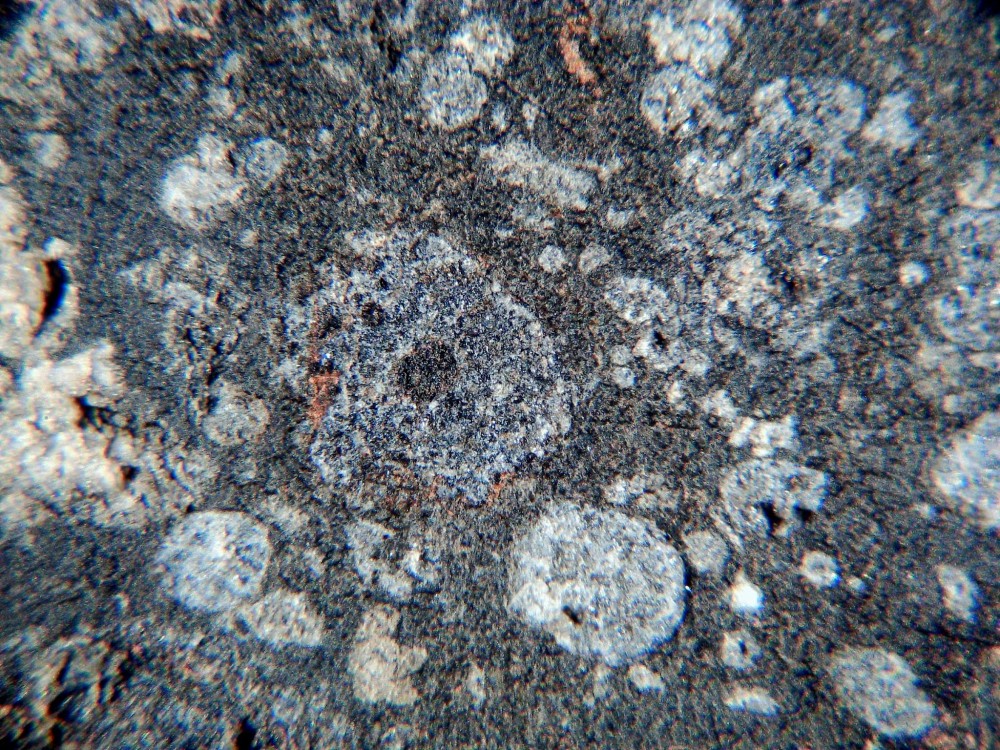 20260208_image (5).jpg