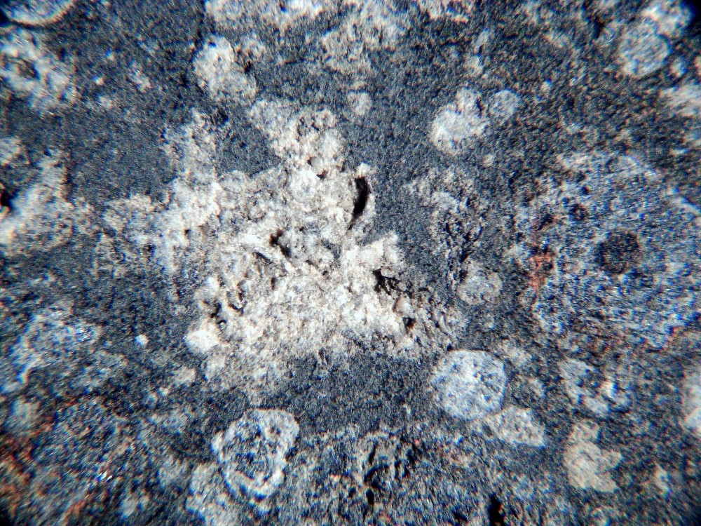 20260208_image (6).jpg