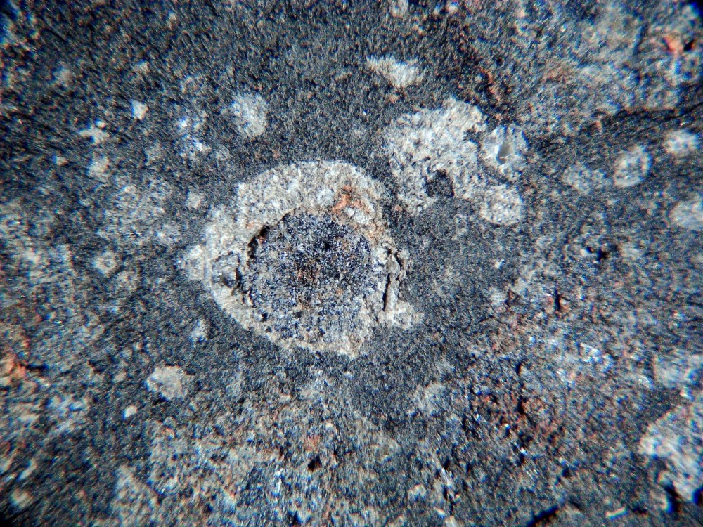 20260208_image (7).jpg