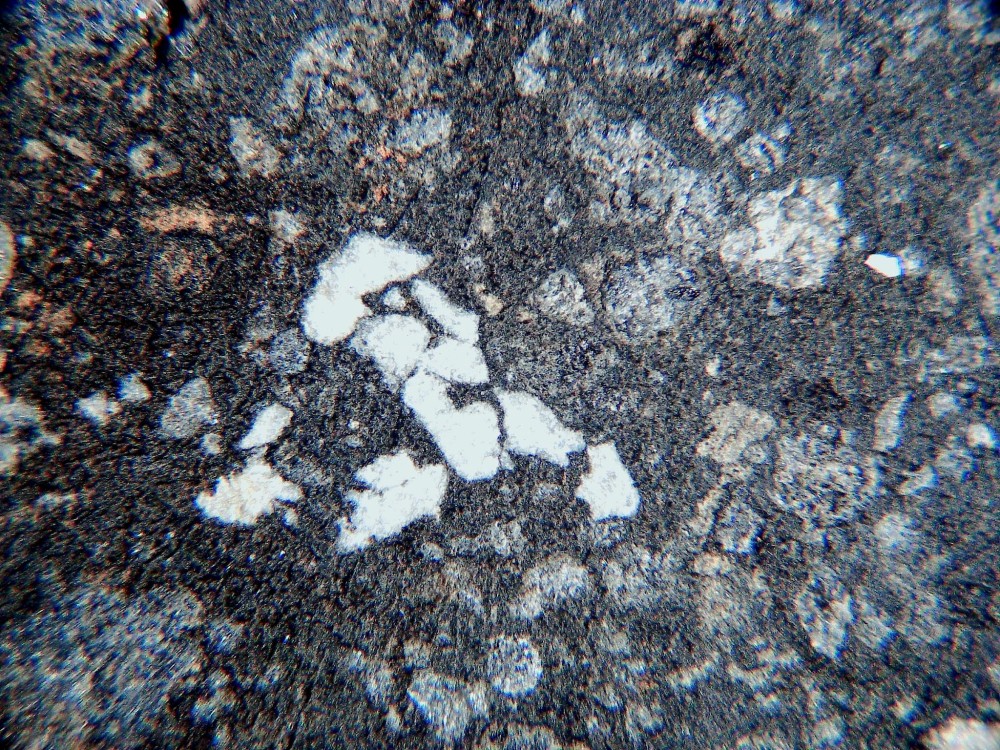 20260208_image (8).jpg