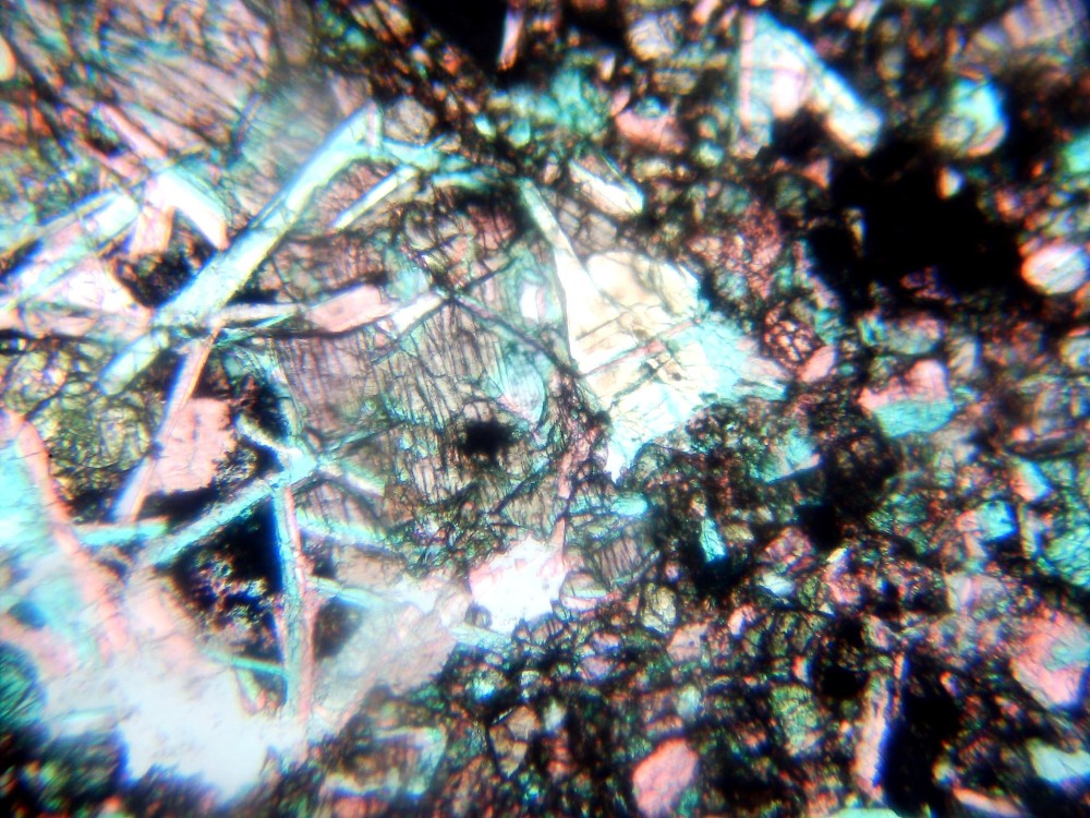 20260211_image (10).jpg