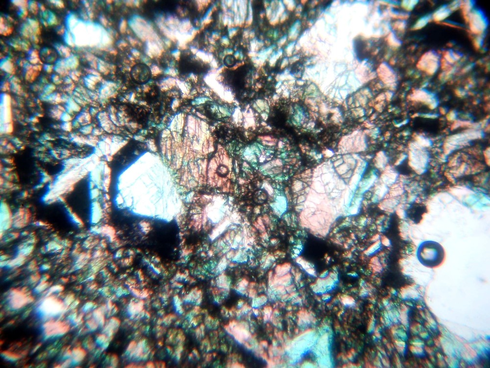 20260211_image (2).jpg