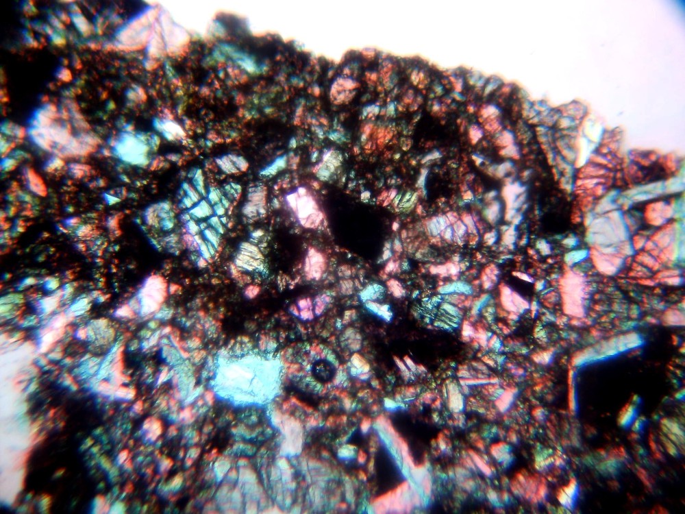 20260211_image (3).jpg