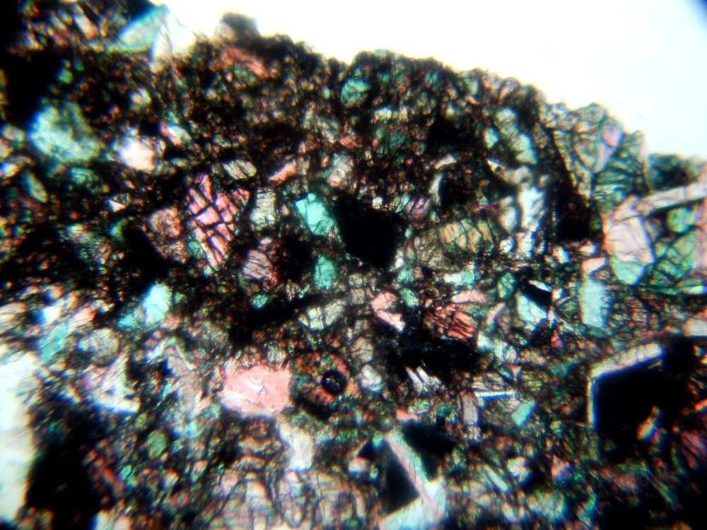 20260211_image (4).jpg