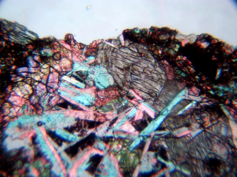 20260211_image (7).jpg