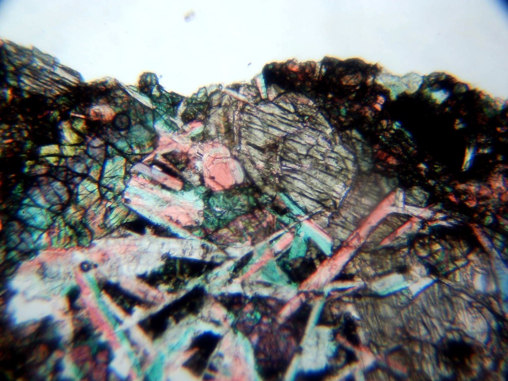 20260211_image (8).jpg