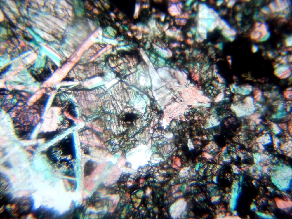 20260211_image (9).jpg