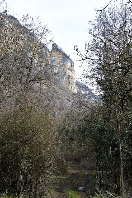 3_Vrs_éboulis_en_Chanot (1).JPG