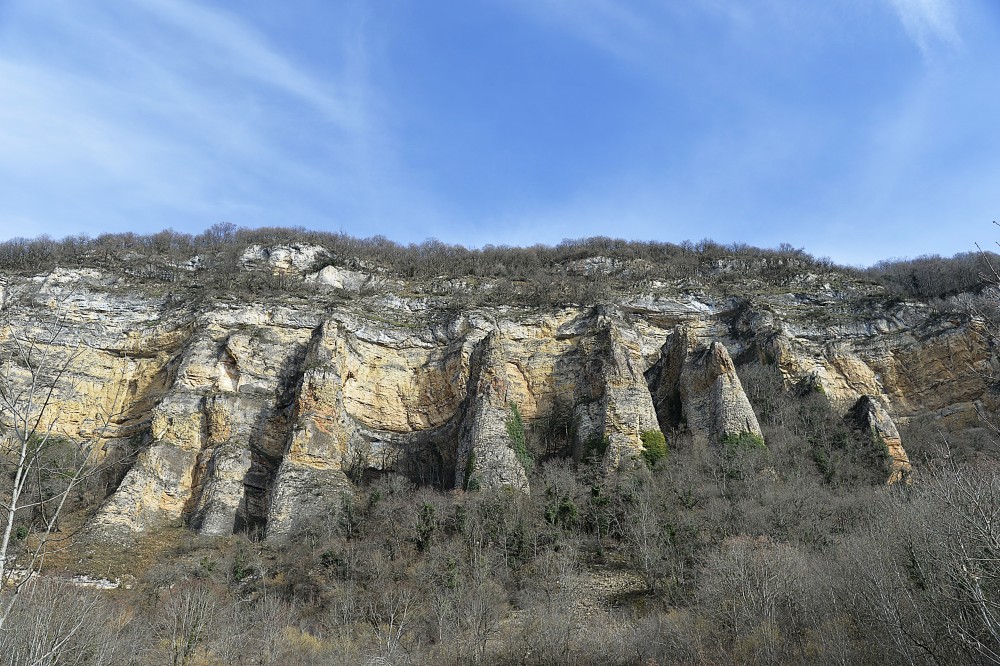 4_Demoiselles_de_Villebois (1).JPG