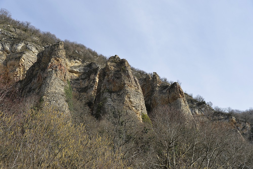 4_Demoiselles_de_Villebois (18).JPG