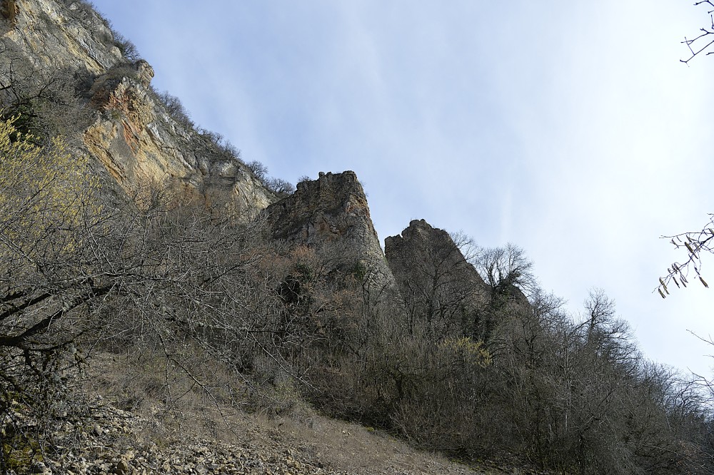 4_Demoiselles_de_Villebois (5).JPG