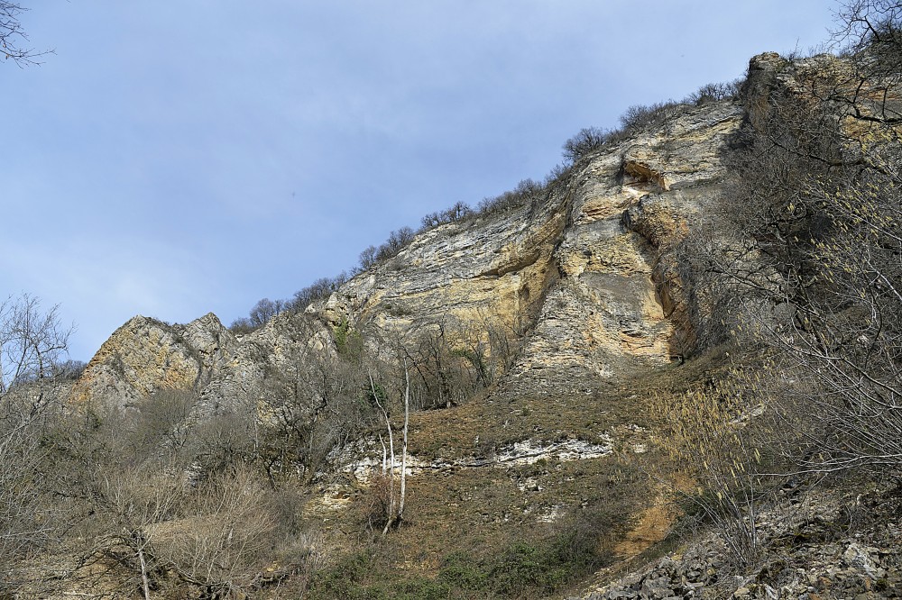 4_Demoiselles_de_Villebois (6).JPG