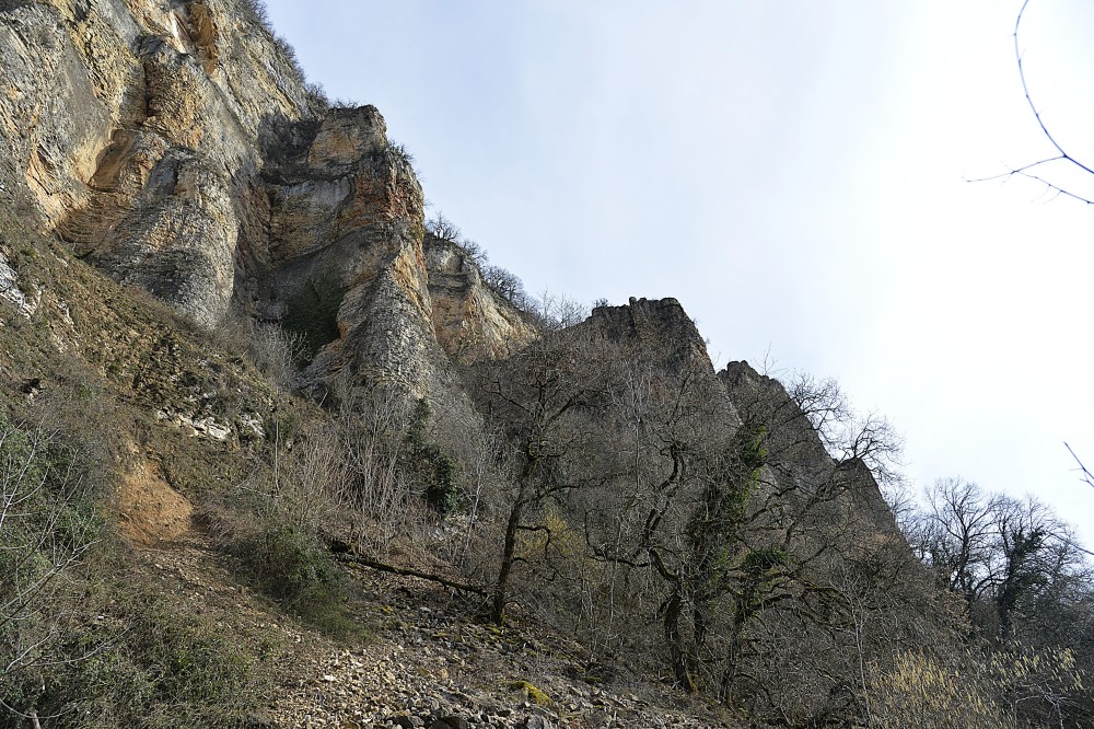 4_Demoiselles_de_Villebois (8).JPG