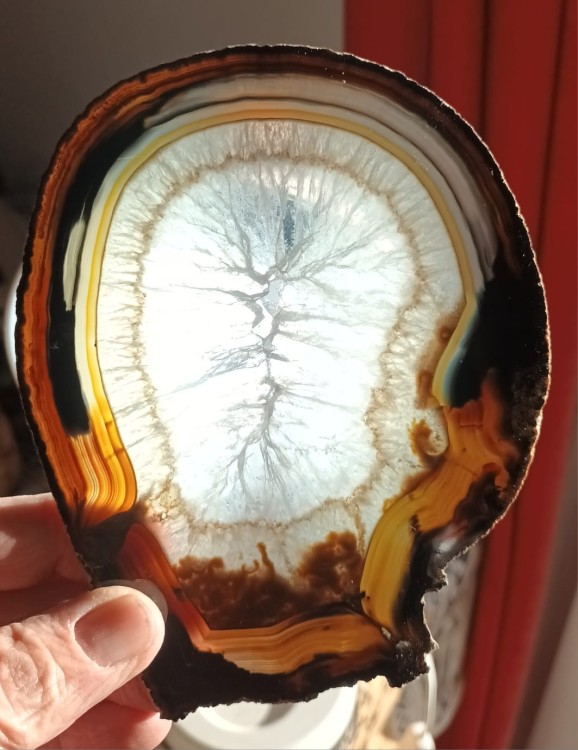 Agate6.thumb.jpeg.c4ee07cbcf992194473397f1c6d20fae.jpeg