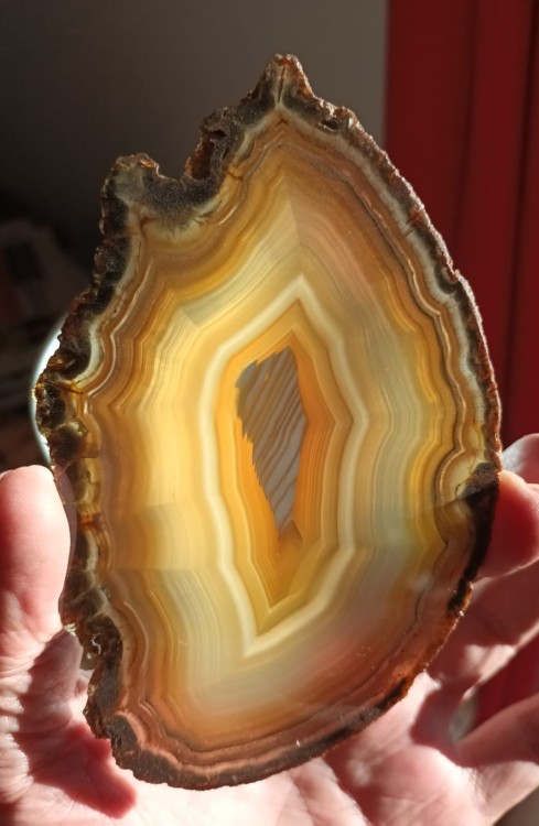 Agate7.thumb.jpeg.4cd65e7bbdeb1931d272d5d3c4c5e89b.jpeg