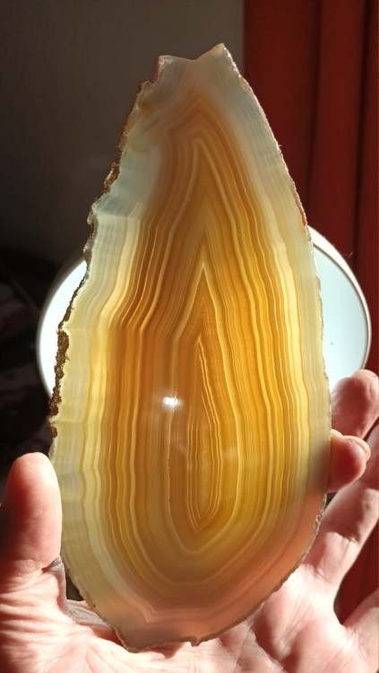 Agate8.thumb.jpeg.8d7b353b072e4301670dcd268ffe0e9c.jpeg