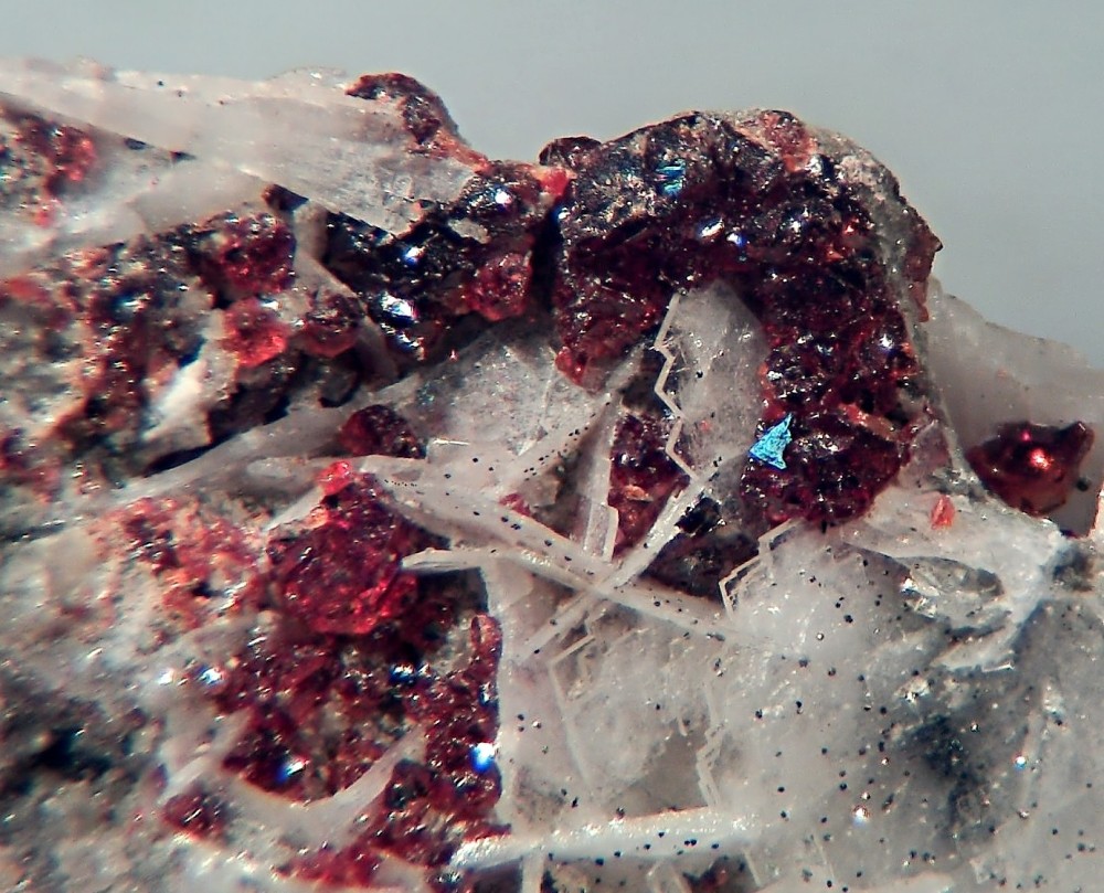 Blende 1.jpg