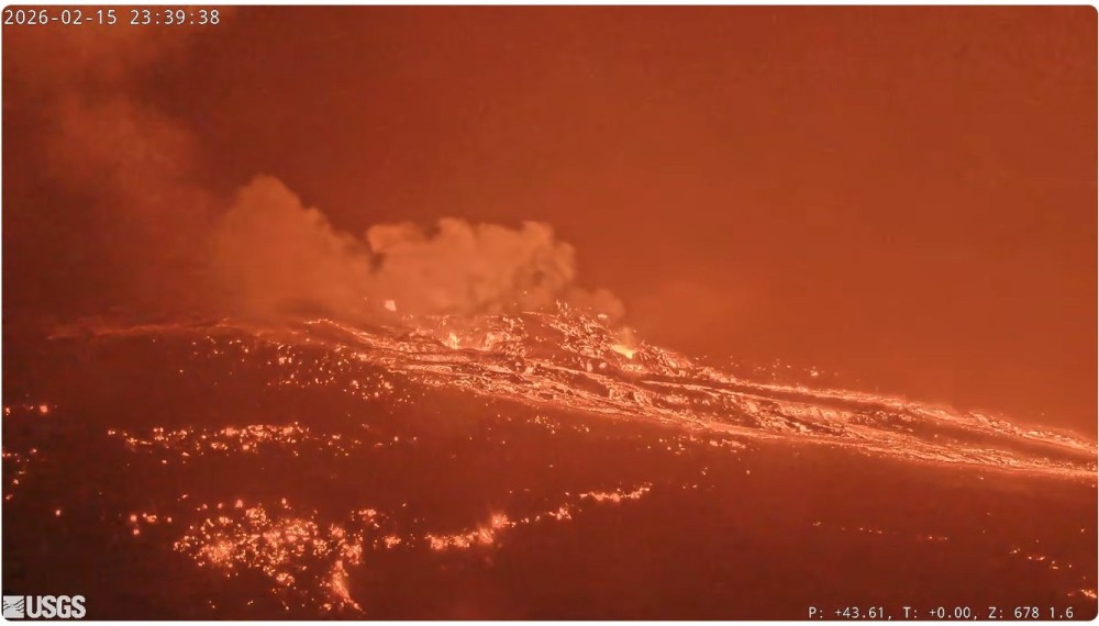 Capture d’écran 2026-02-16 104055.jpg