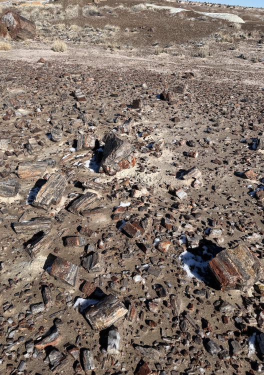 Capture d’écran 2026-02-03 à 20.40.47.png