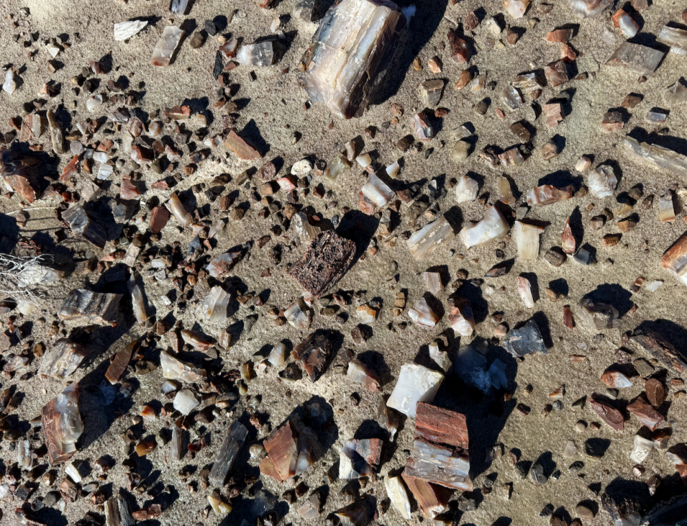 Capture d’écran 2026-02-03 à 20.41.27.png