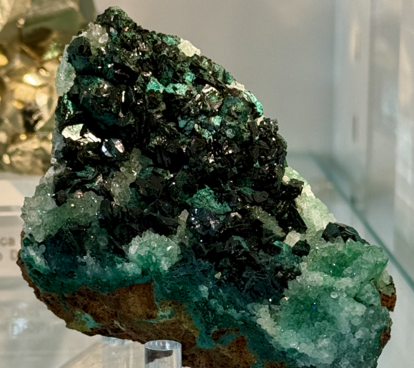 Capture d’écran 2026-02-03 à 20.44.55.png