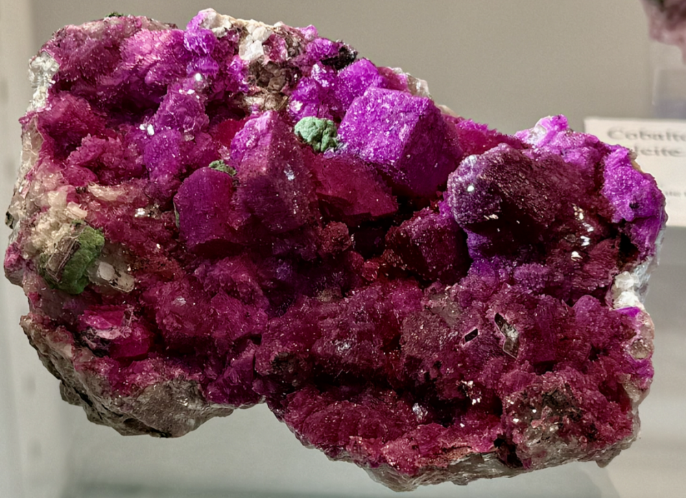 Capture d’écran 2026-02-03 à 20.49.30.png