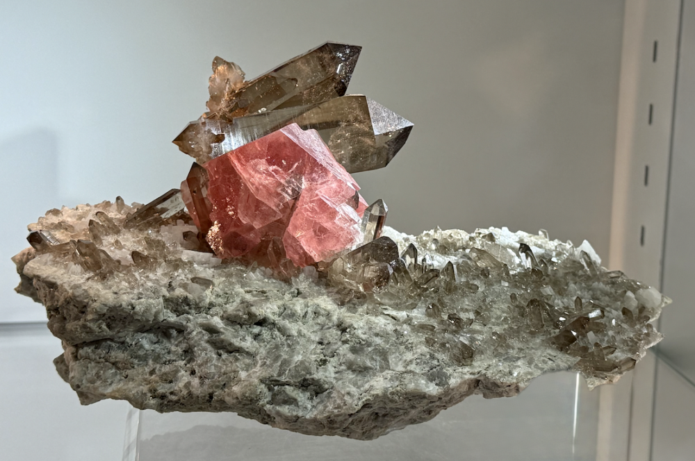 Capture d’écran 2026-02-03 à 20.51.37.png