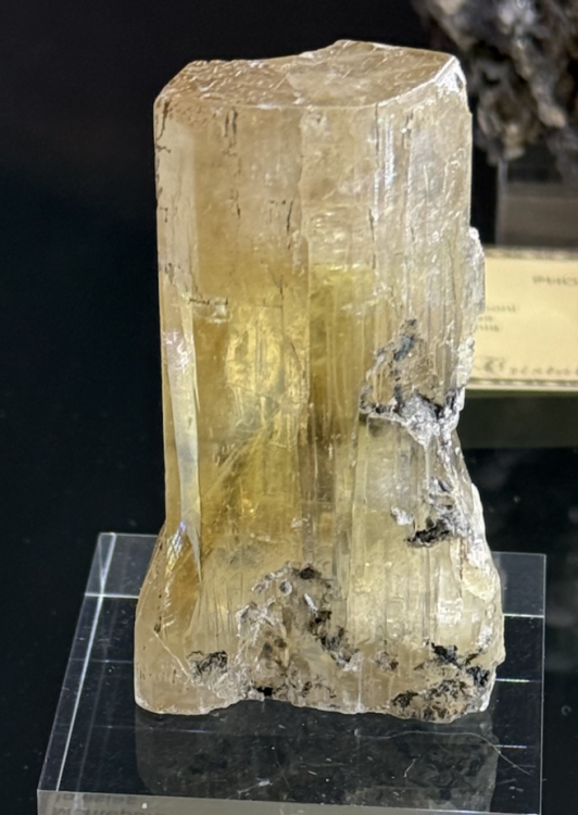 Capture d’écran 2026-02-03 à 20.55.04.png