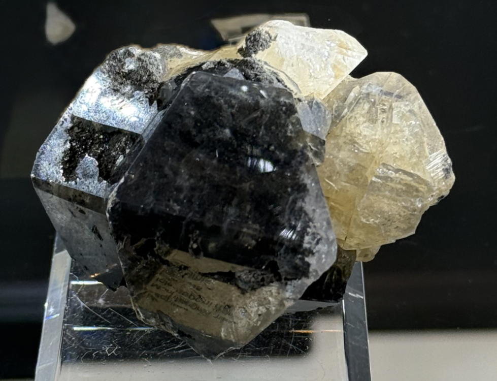 Capture d’écran 2026-02-03 à 20.55.44.png