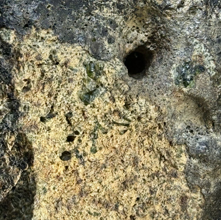 Capture d’écran 2026-02-06 à 22.11.54.png