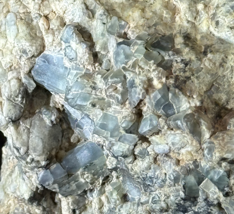 Capture d’écran 2026-02-06 à 22.12.10.png