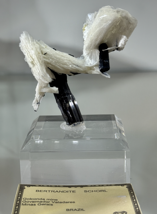 Capture d’écran 2026-02-06 à 22.18.43.png