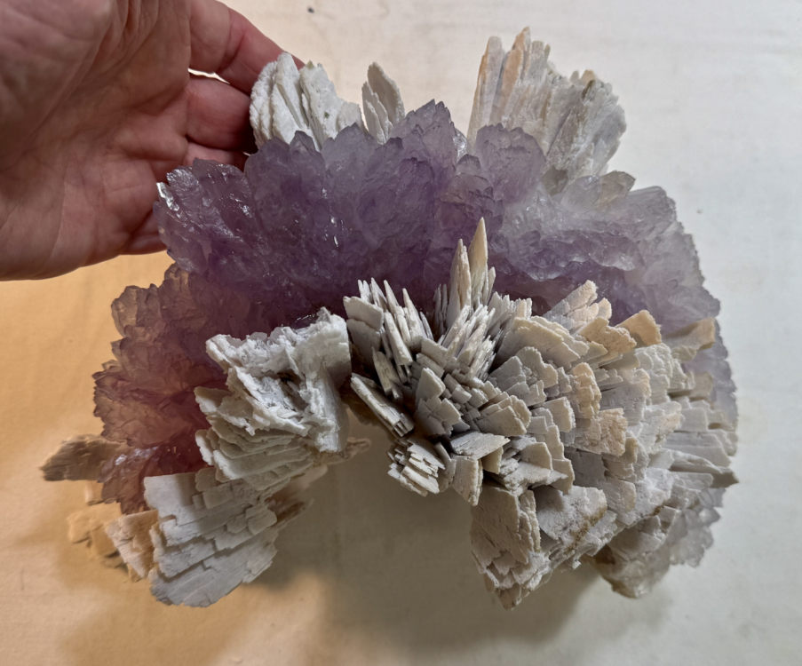 Capture d’écran 2026-02-06 à 22.19.38.png