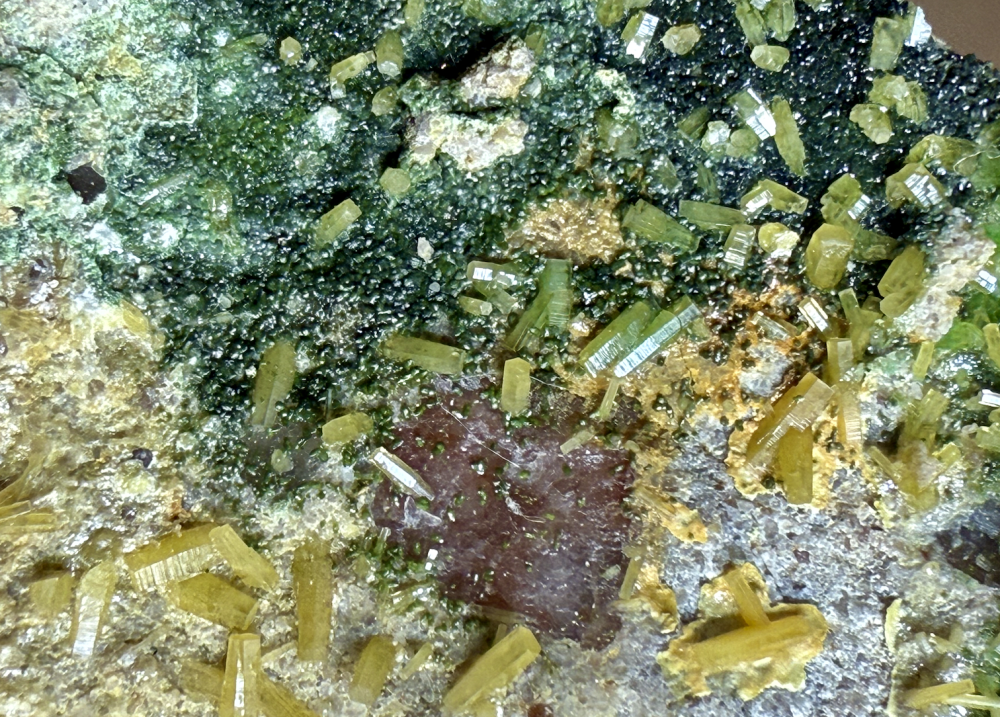 Capture d’écran 2026-02-14 à 23.45.45.png